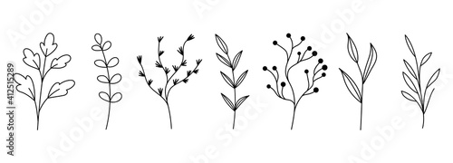 Botanical plant set. Abstract minimalist floral collection, creative leaf art for print, tattoo. Vector illustration