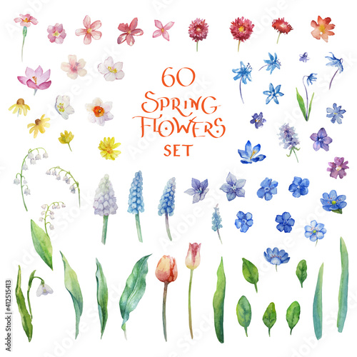 Watercolor spring flowers set. 60 different vector and decor elements for design. Isolated on white background.