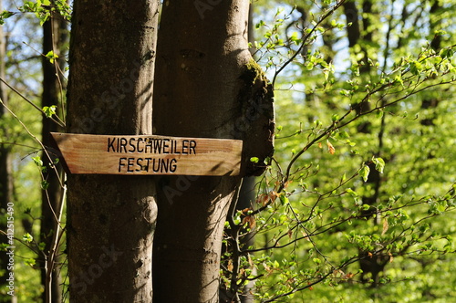 Traumschleife Kirschweiler Festung im Nationalpark Hunsrück-Hochwald photo