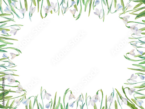 Snowdrops vector frame. Watercolor painted snowdrops and leaves on white background. Natural spring design for holiday, greeting, and invitation cards.