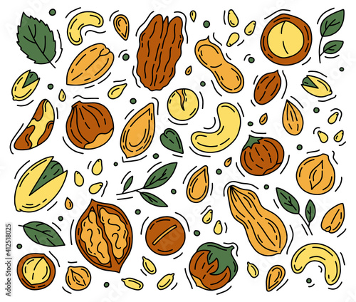 Nuts and Seeds set of vector icons in the Doodle style. Walnuts, macadamia, hazelnuts and peanuts isolated on a white background.