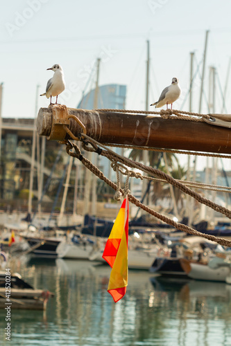 Seagulls perched at the front of the ship, with the flag of Spain hanging out, seelctive focus photo