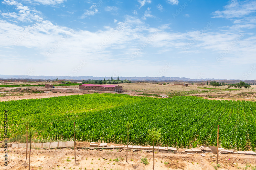 Fototapeta premium Gansu Province, China