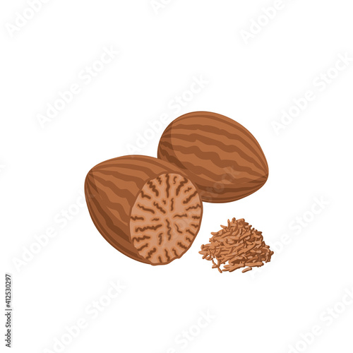 Nutmeg nut and powder. Vector illustration of cartoon flat icon isolated on white.