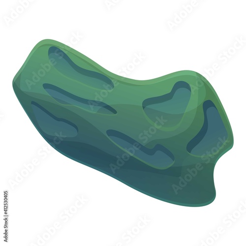 Asteroid rock icon. Cartoon of asteroid rock vector icon for web design isolated on white background