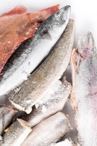 variety of frozen sea sustainable food in ice cubes