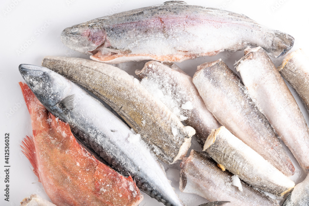 variety of frozen sea sustainable food in ice cubes variety of frozen sea sustainable food in ice cubes