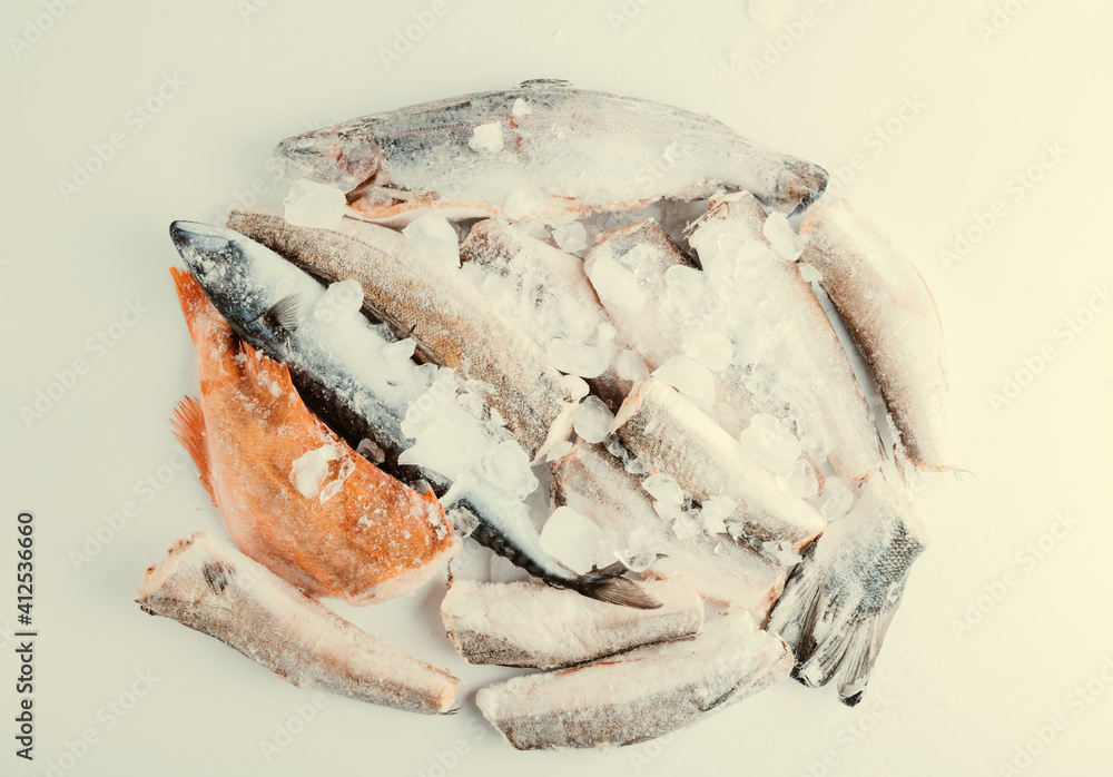 variety of frozen sea sustainable food in ice cubes