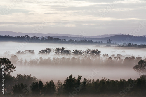 Hunter Valley Fog at Sunrise in Australia
