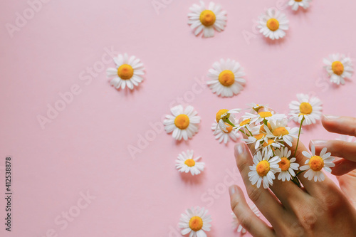 Woman's hand with a camomile isolated on the pink background. Care for skin hands.