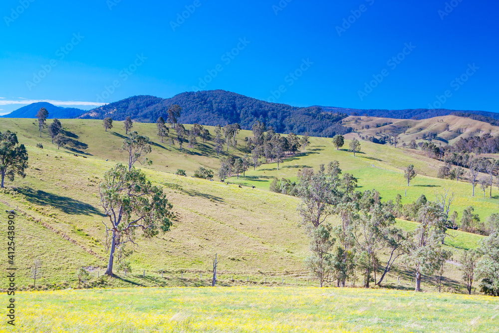 Naklejka premium Hunter Valley Landscape in Australia