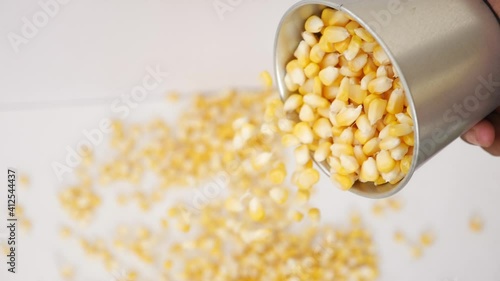 Close view of dropping corn seeds from steel glass, Dropping corn seeds from steel glass