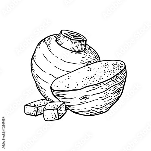 Taro root and slice. Cut into cubes. Colocasia esculenta. Hand drawn vector illustration. Sketch style.