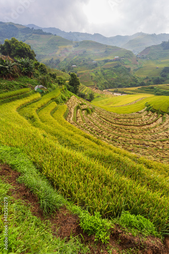 Terraced rice paddy field landscape of Mu Cang Chai, Yenbai, Northern Vietnam