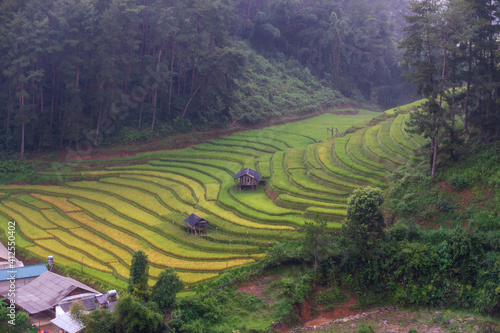 Terraced rice paddy field landscape of Mu Cang Chai  Yenbai  Northern Vietnam