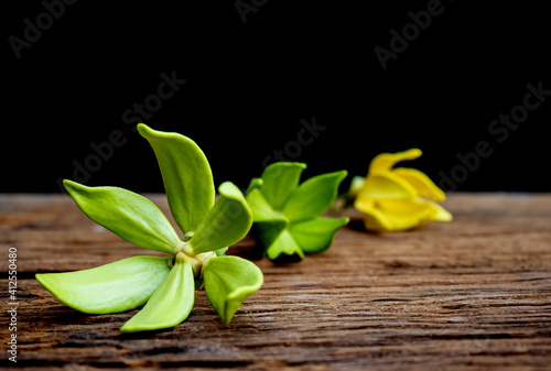 Beautiful yellow and green flowers , Ylang-ylang flowers arranged on the old wooden floor.