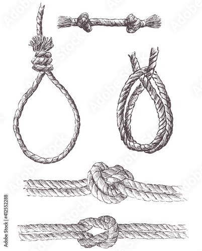 Vector image of drawn various sea knots from rigging rope