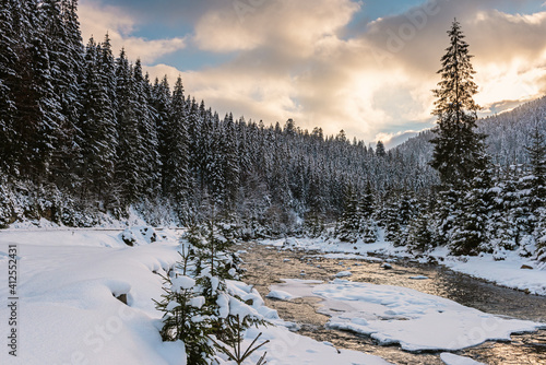 Scenic winter sunset landscape with small winding mountain river, fluffy snow, snowy fir trees and colorful sky with clouds, outdoor travel background, Carpathian mountains