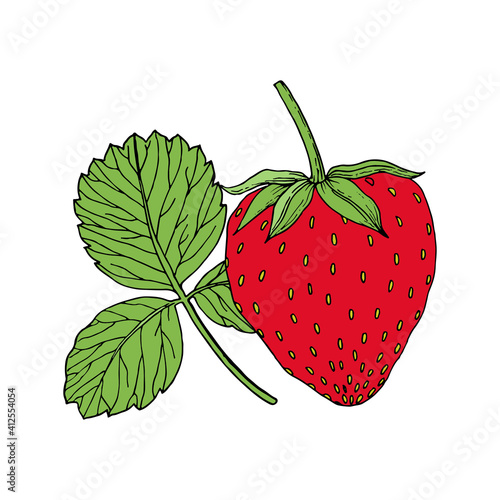 Red strawberry with leaf. Hand drawn berry illustration, isolated on white background. Colorful sketch. Vector illustration.