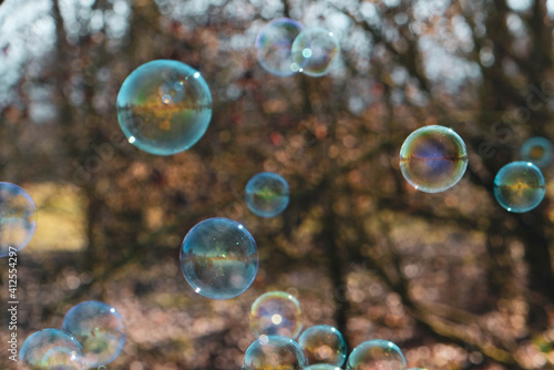 Colorful soap bubbles flying against blurred natural background  close up. Sunny day.