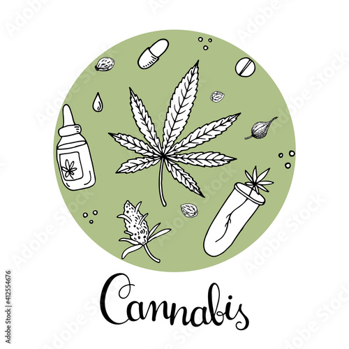 Cannabis (hemp or marijuana) medical plant. Branch with seeds. Hand drawn vector illustration in doodle style.