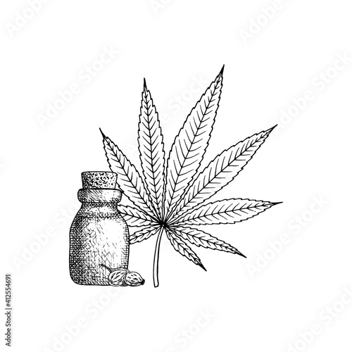Cannabis (hemp or marijuana) medical plant. Branch with seeds. Hand drawn vector illustration in sketch style.