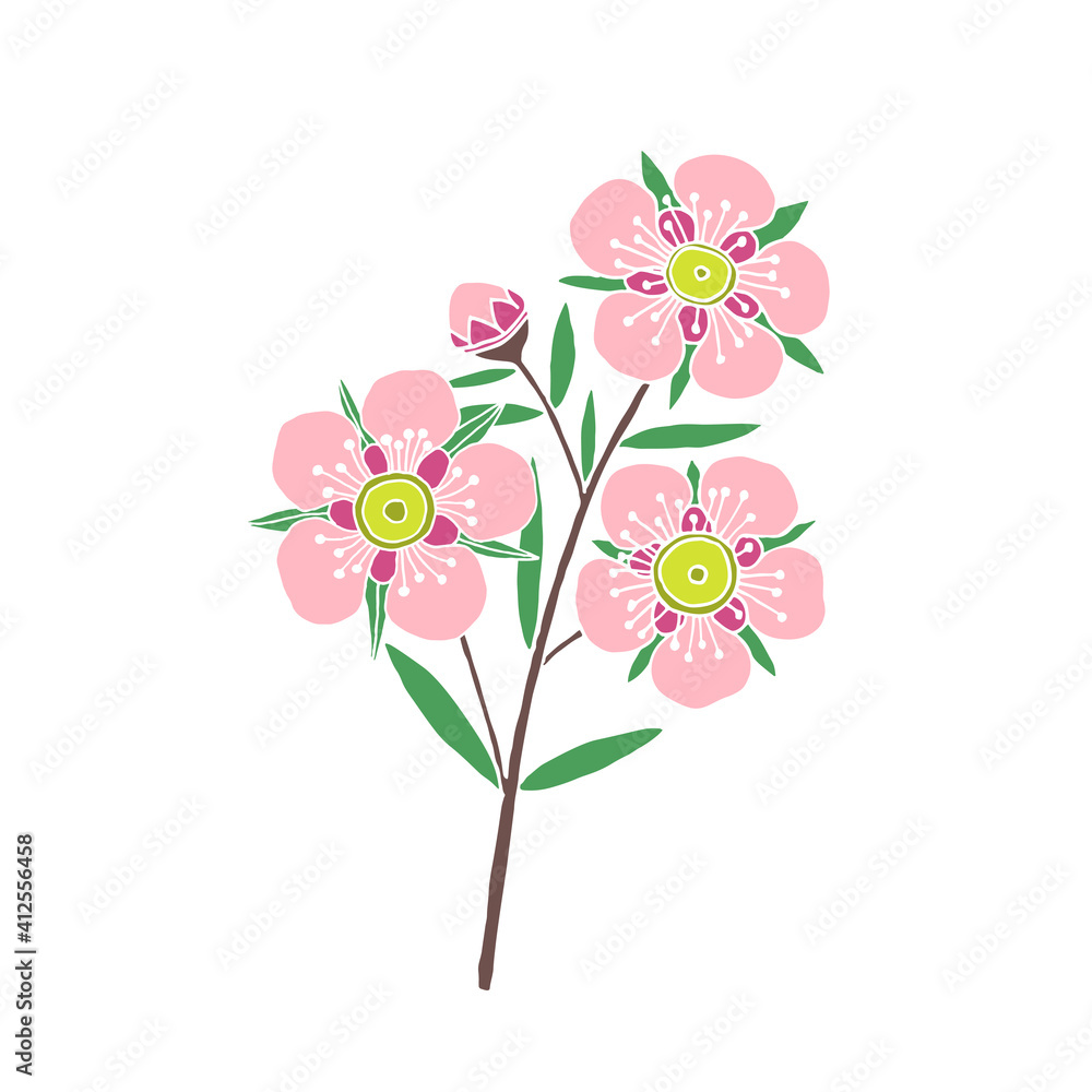 Manuka Honey branch, leaves and flower. Hand drawn Vector illustration. Manuka Honey branch, leaves and flower. Hand drawn Vector illustration.