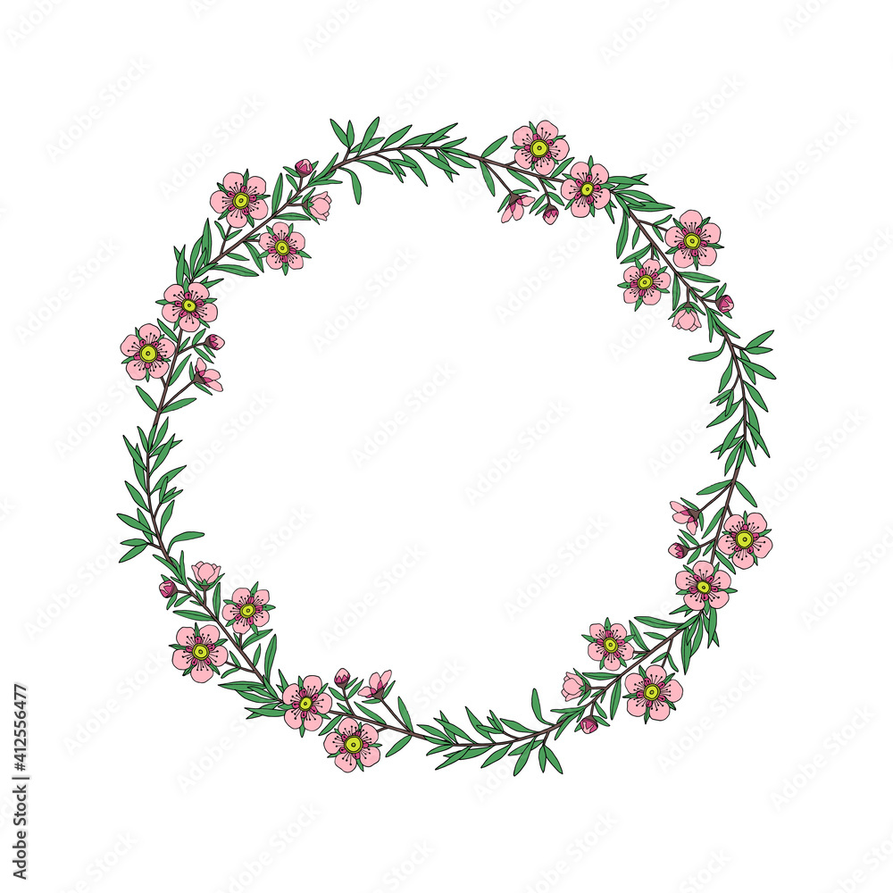 Manuka Honey branch, leaves and flower. Floral wreath. Hand drawn Vector illustration.