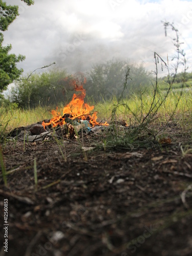 Firecamp in the forest