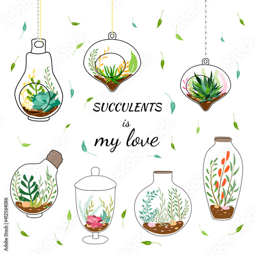 Set of geometric florariums. Geometric terrariums set with plants, succulents and cactus. Scandinavian style home decor. Glass crystal florariums isolated on white background.