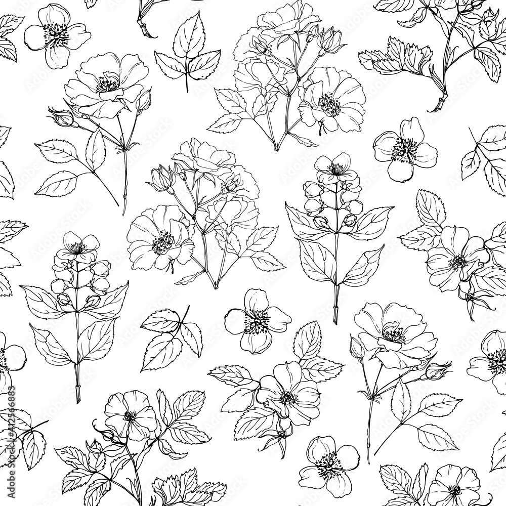 Pattern Flowers vector line drawing. Briar. Shrub roses and rose hips