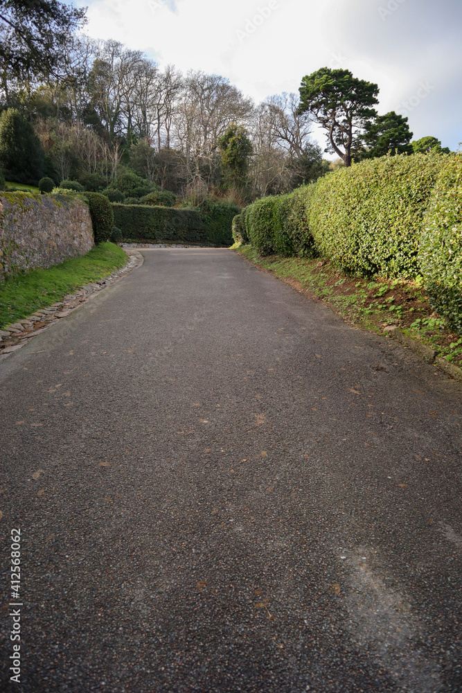 road in the park