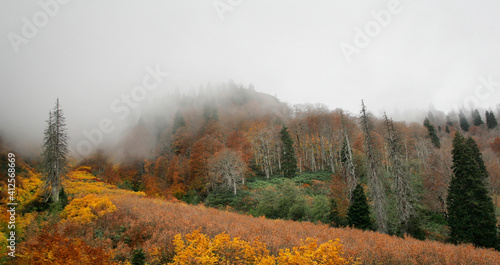 from Turkey  artvin  borcka  autumn  autumn forest  blacklake  