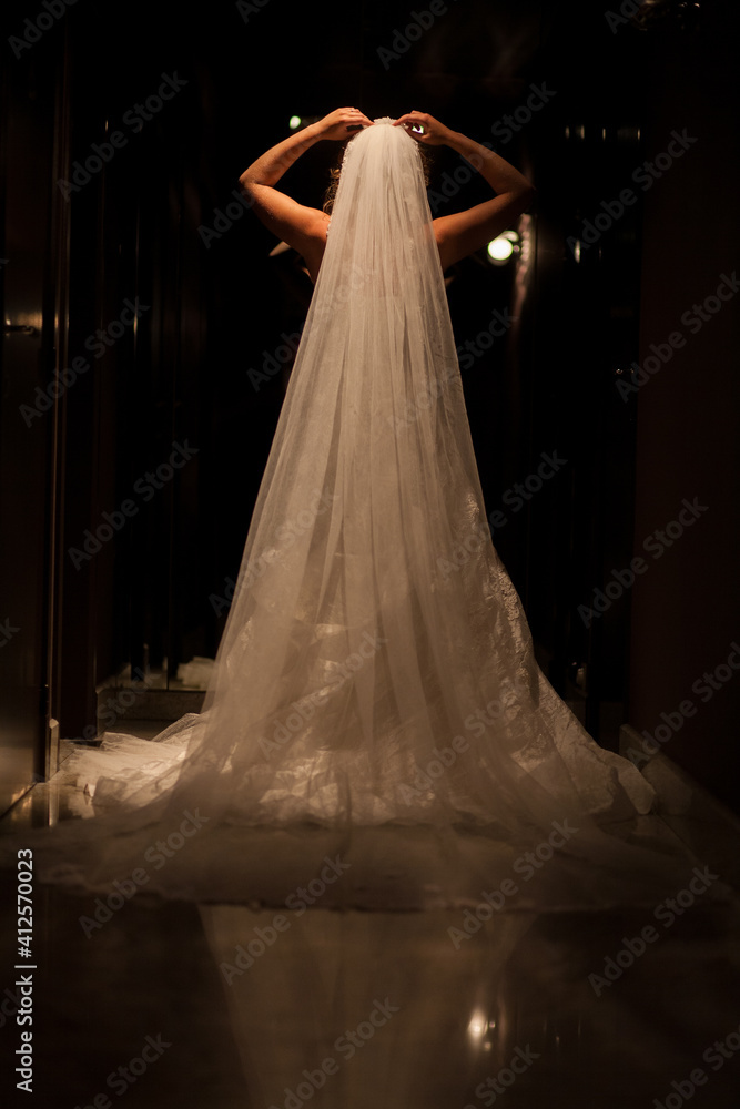 Beautiful bride in luxurious wedding dress in a dark hall. Beautiful bride with stylish make up and hair style. Young bride posing in white dress. Black and white. High quality photo Beautiful bride in luxurious wedding dress in a dark hall. Beautiful bride with stylish make up and hair style. Young bride posing in white dress. Black and white. High quality photo