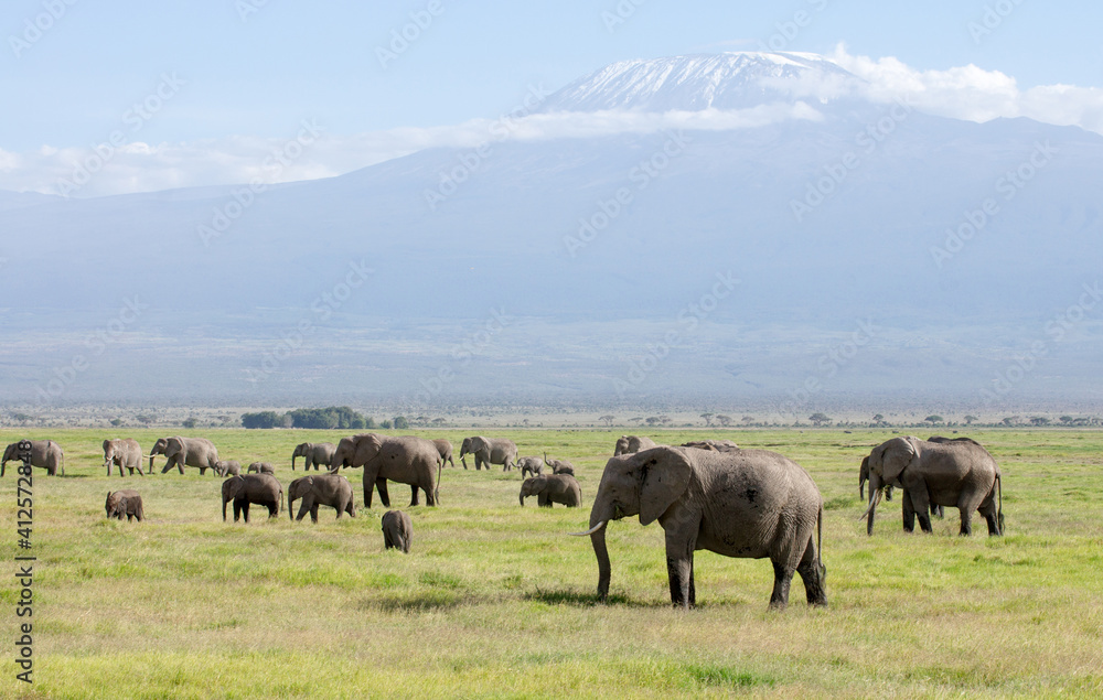 Kenia - Amboseli-Nationalpark mit Kilimandscharo (5.895 m)