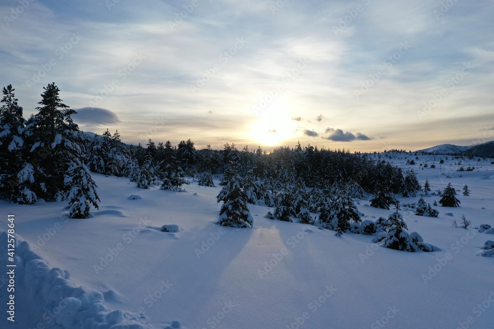 Aerial view of a frozen forest with fresh snow covered trees Aerial view of a frozen forest with fresh snow covered trees