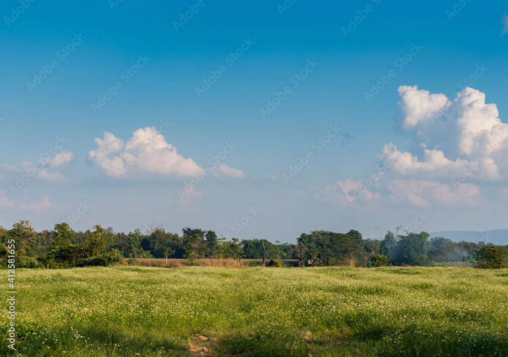Grassland and sky On the mountains of northern Thailand.