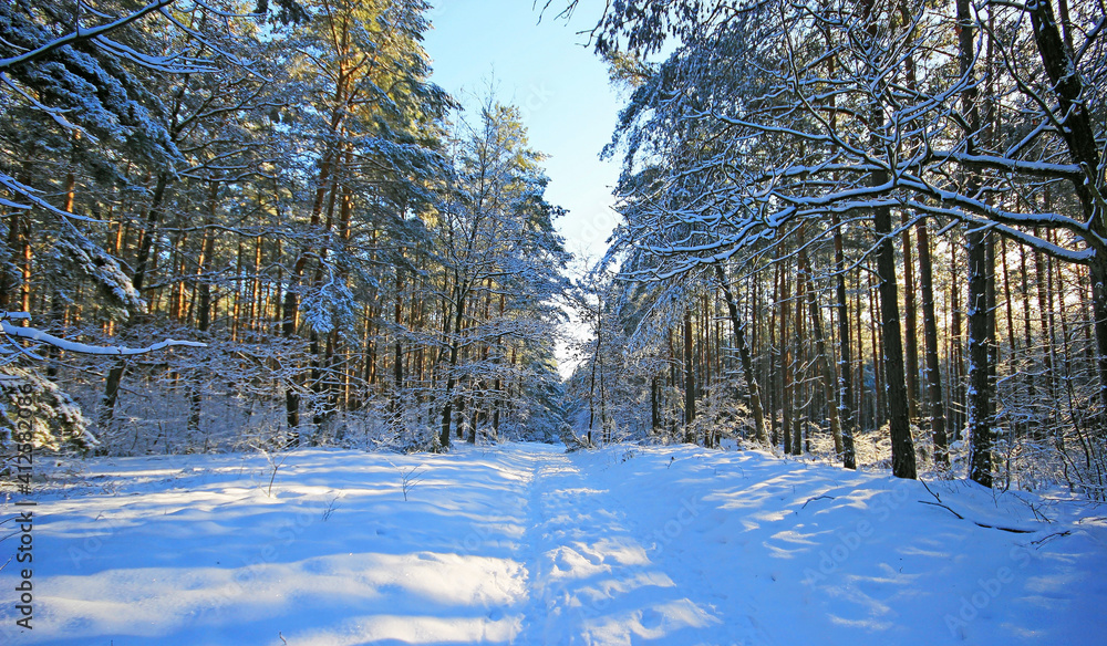 Beautiful winter landscapes in Poland.