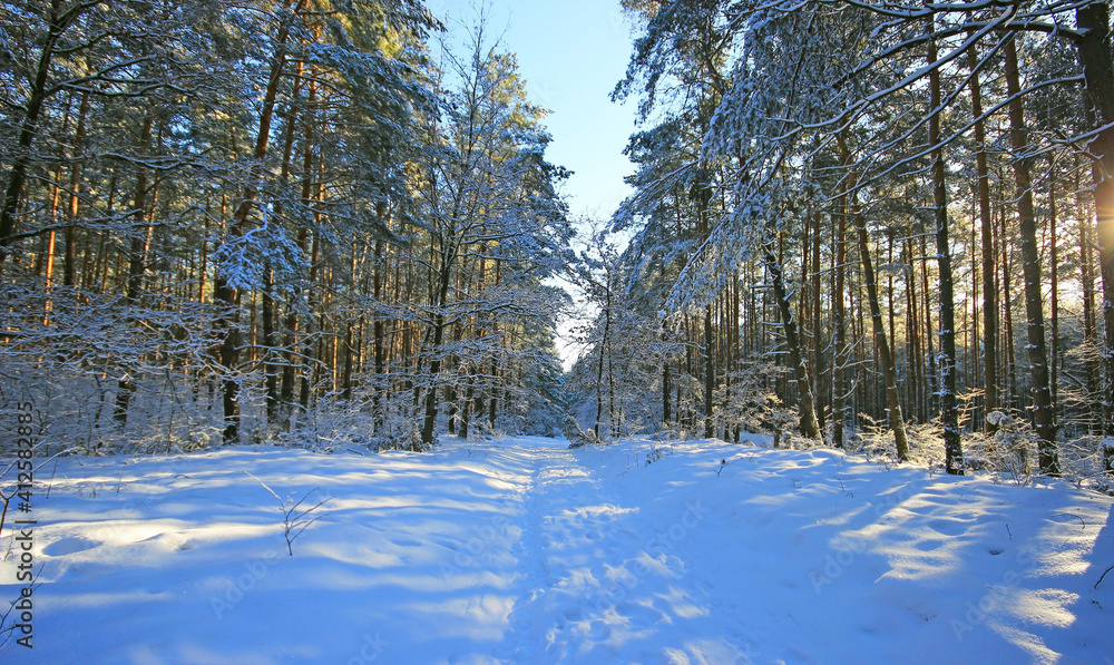Beautiful winter landscapes in Poland.