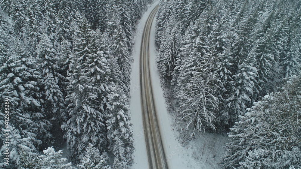 country road in winter season with fresh snow