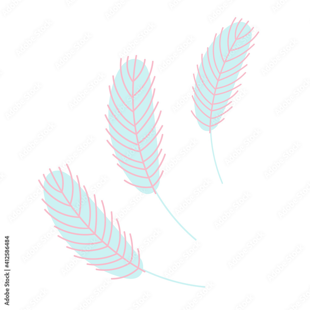 vector illustration of feather