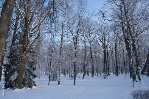 Russia, Peterhof, Lower Park, snowy winter