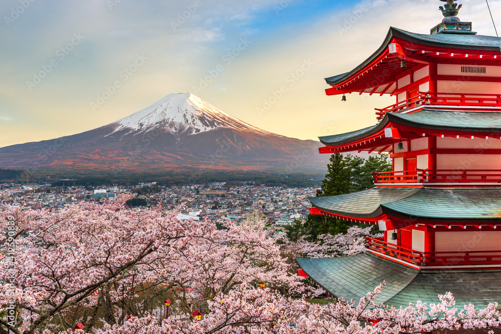 Fototapeta premium Fujiyoshida, Japan at Chureito Pagoda and Mt. Fuji in the Spring