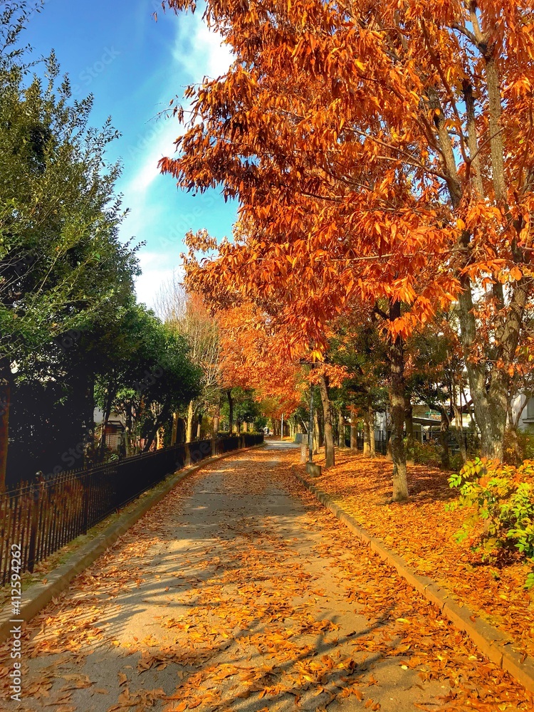 Naklejka premium Road covered with leaves