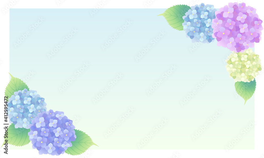 紫陽花のベクターイラスト素材 コピースペースあり Stock Vector Adobe Stock