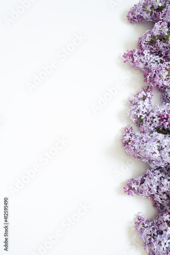 branches of lilac on white background with copy space