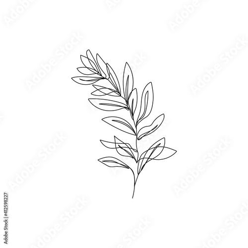 Vector Leaves of Hand Drawn Line Art Drawing. Minimalist Trendy Contemporary Design Perfect for Wall Art  Prints  Social Media  Posters  Invitations  Branding Design.