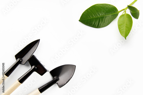 Garden tools: shovel, shovel, rake, green young sprout isolated on a white background. Seeds and home gardening. Growing food at home. Flatlаy. Top view. Copyspace.