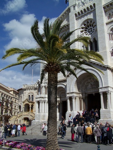 Palm tree in front of the cathedral of Notre-Dame-Immaculée, Monaco