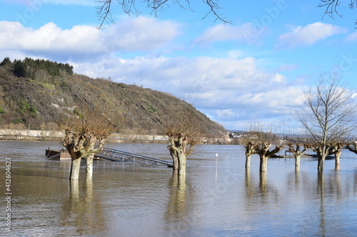 Rheinhochwasser 2021 photo